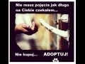 Adoptuj