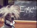 Einstein