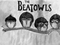 The beatowls