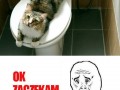 Zaczekam