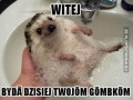 Witej