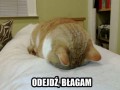 Błagam odejdź