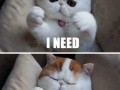 Free hug
