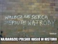 Najbardziej polskie hasło w historii