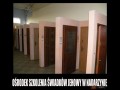 Trening jechowych