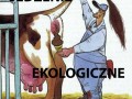 Jedzenie ekologiczne