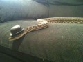 Mr ssssnake