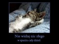 Nie widzę nic