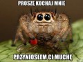 Kochaj mnie