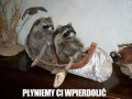 Płyniemy