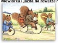 Wiewiórka na rowerze