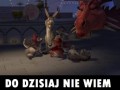 Osiołampsmoczyca
