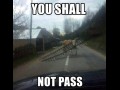 You shall