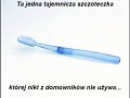 Tajemnicza szczoteczka