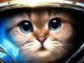 Starcat
