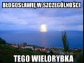 W szczególności ten wielorybek