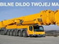 Mobilne dildo