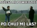 Po chuj mi las
