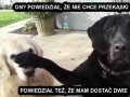 Przekąska