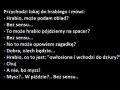 Bez sensu