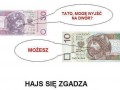 Hajs się zgaadza