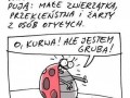 Biedron
