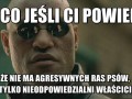 A co jeśli ci powiem 1