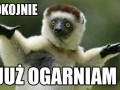 Spokojnieeee