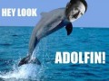Adolfin