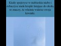 Ciekawy fakt