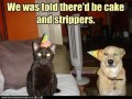Strippers