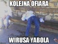 Kolejna ofiara wirusa yabola