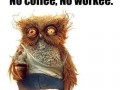 No coffie
