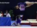 Acrobat reader