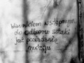 Nie każdy rozumie sztukę