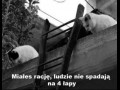 Ludzie nie spadają na 4 łapy