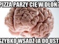 Pizza parzy