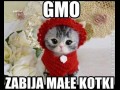 Gmo