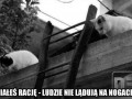 Miałeś rację