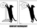 Konflikt rozwiązany