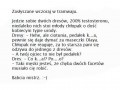 Babcia mistrz