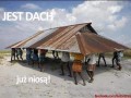 Jest dach