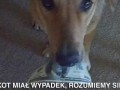 Rozumiemy się