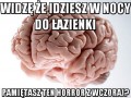 Widzę że idziesz w nocy do łazienki