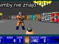Wolfenstein 3d