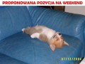 Proponowana pozycja na weekend