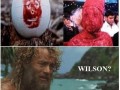 Wilson d
