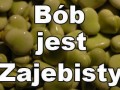 Bób jest zajebisty