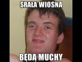 Będą muchy