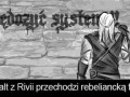 Wiedźmin anarchista